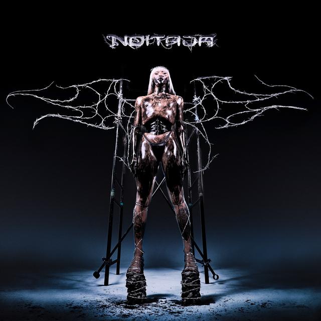 Album cover art for Noitada