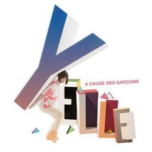 Album cover art for A Cause Des Garçons