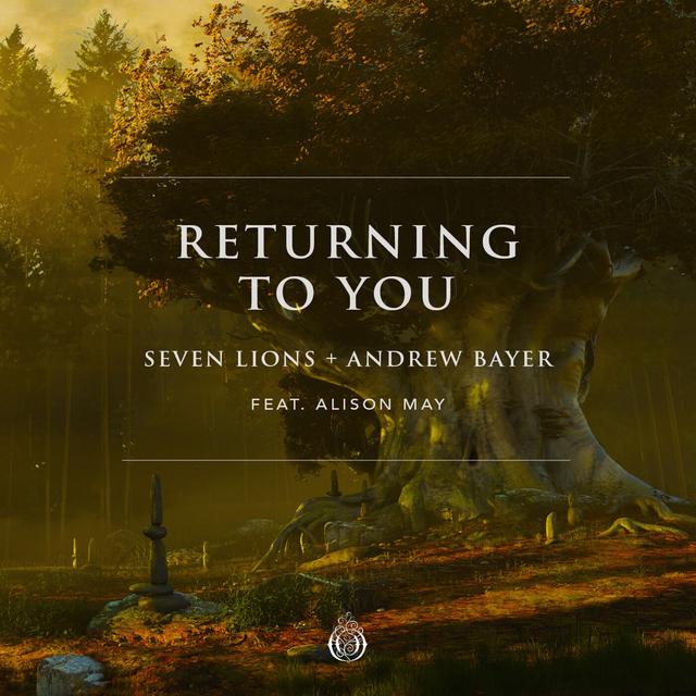 Album cover art for Returning to You