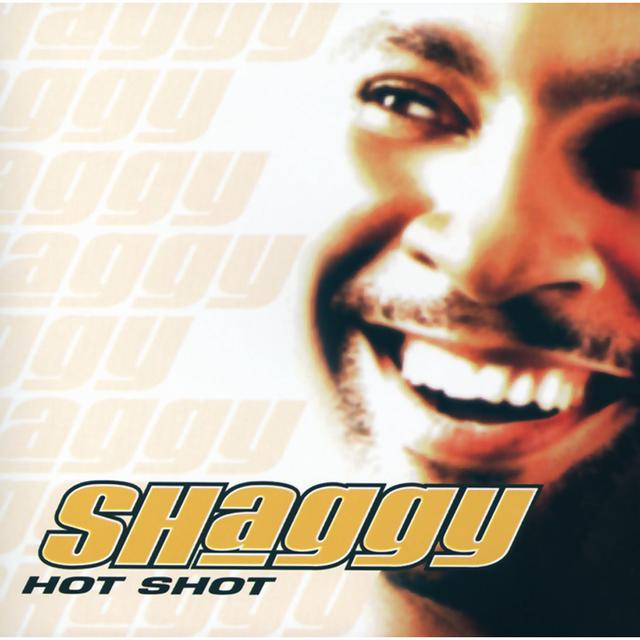 Album cover art for Hot Shot