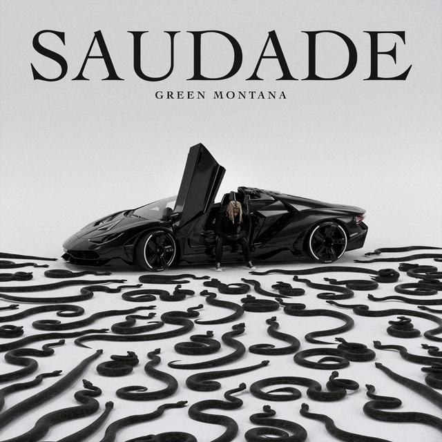 Album cover art for SAUDADE