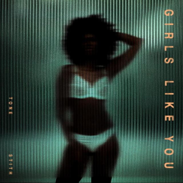 Album cover art for Girls Like You