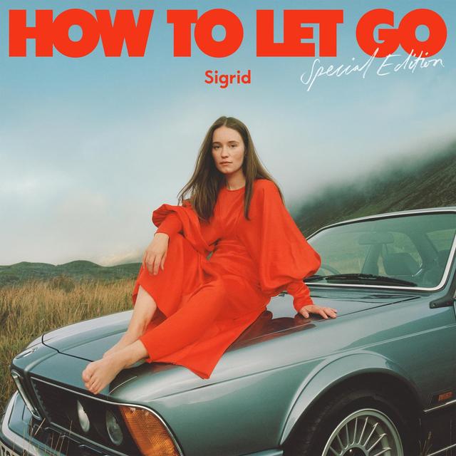 Album cover art for How to Let Go