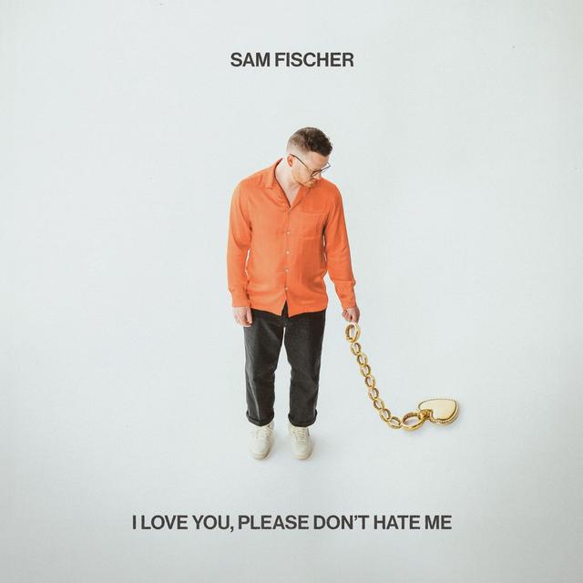 Album cover art for I Love You, Please Don't Hate Me