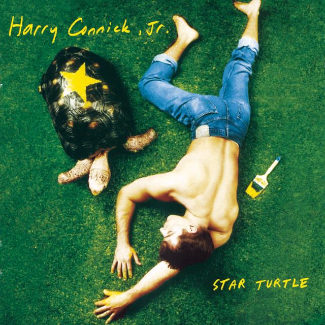 Album cover art for Star Turtle