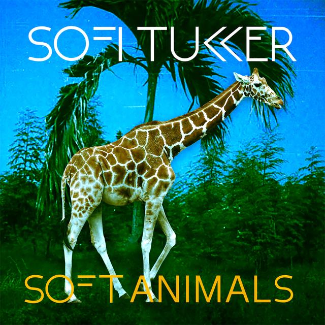 Album cover art for Soft Animals