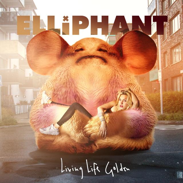 Album cover art for Living Life Golden