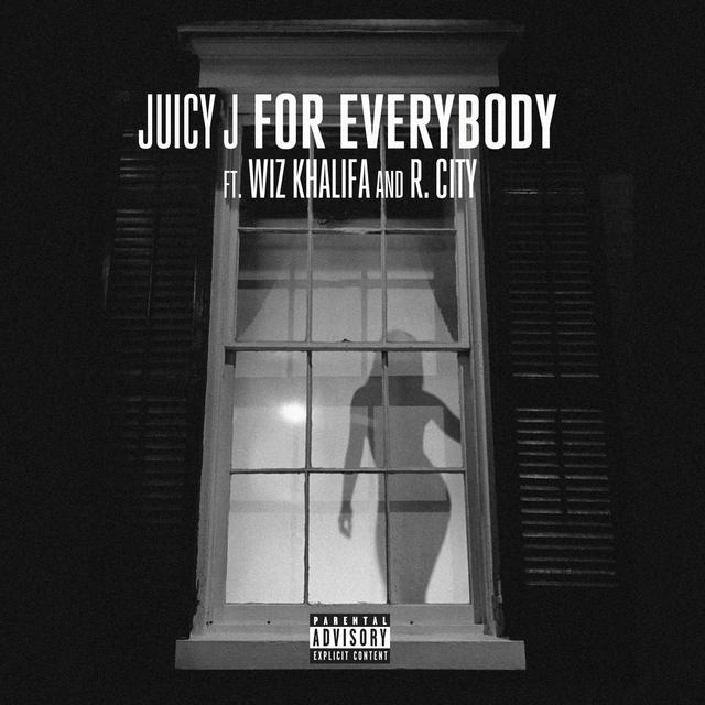 Album cover art for For Everybody