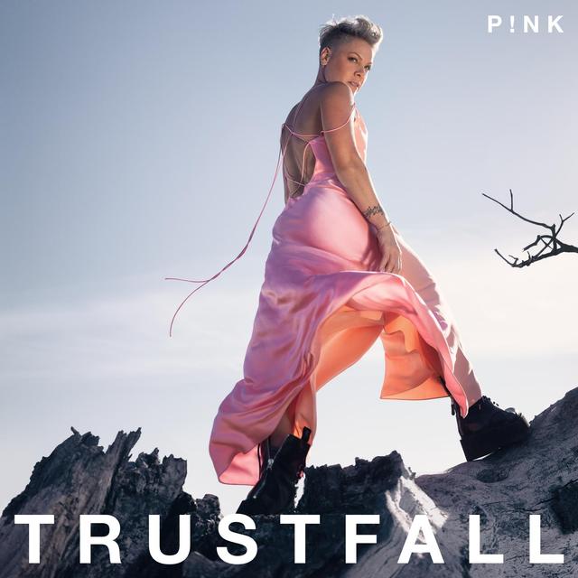 Album cover art for TRUSTFALL