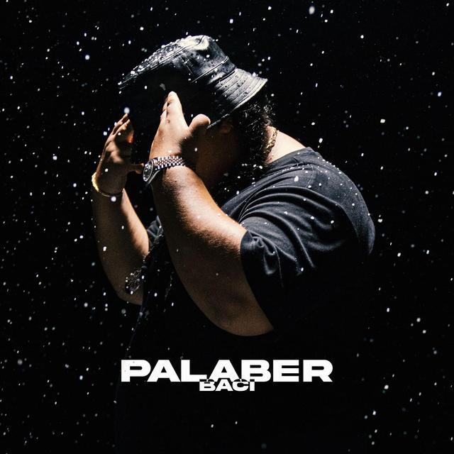 Album cover art for Palaber