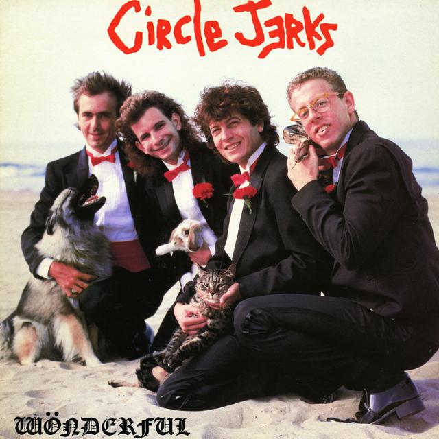 Album cover art for Wonderful