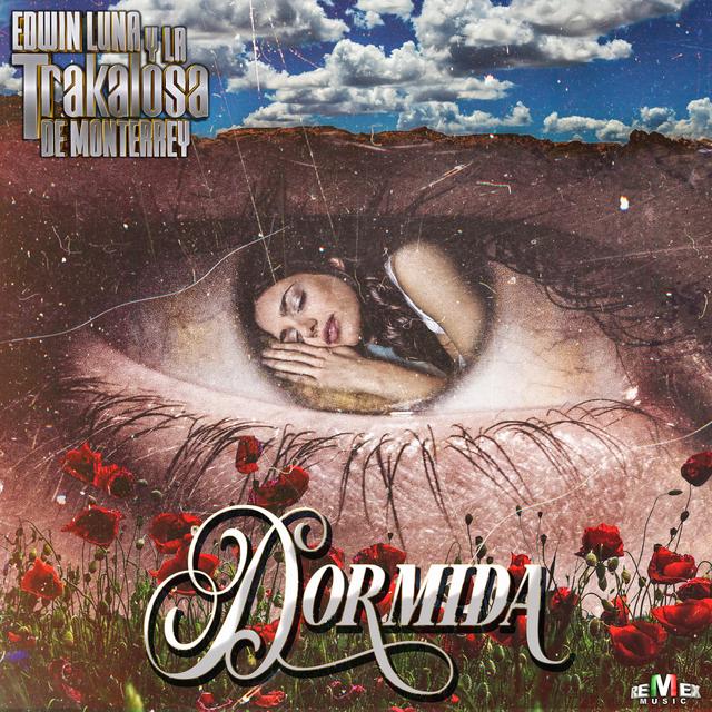 Album cover art for Dormida