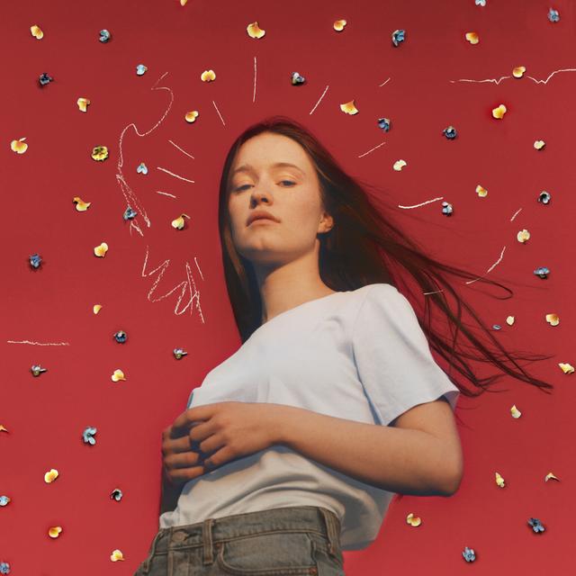 Album cover art for Sucker Punch